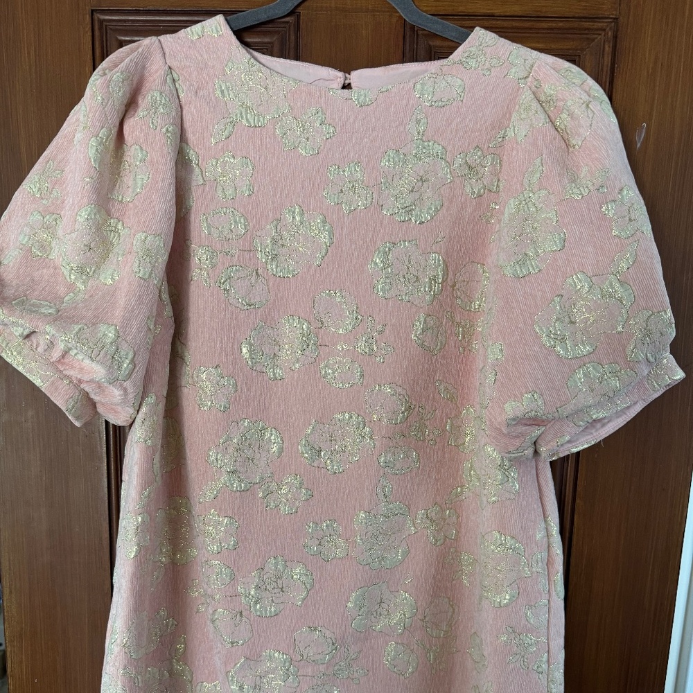 Adorable pink with gold rose detail, puff sleeves, fully lined, fun dress